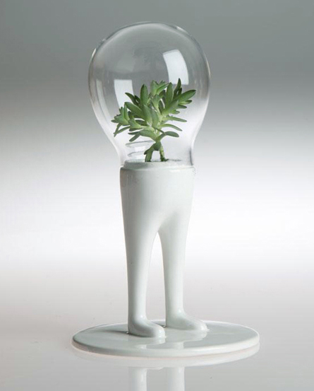 Domsai Terrarium ドムサイテラリウム