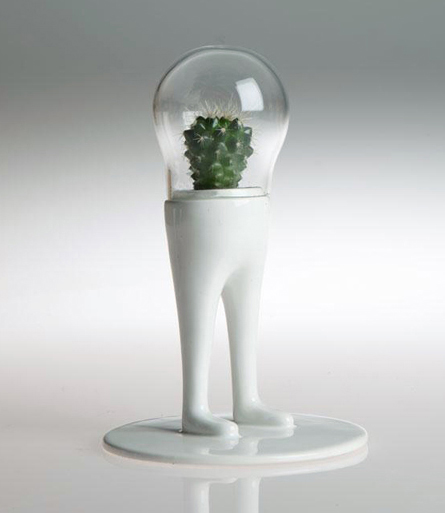 Domsai Terrarium ドムサイテラリウム