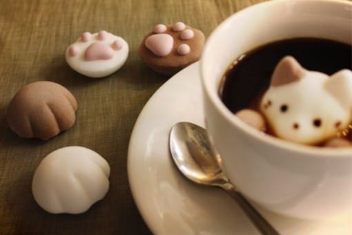 CafeCat Box