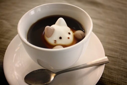 CafeCat Box