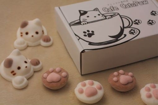 CafeCat Box