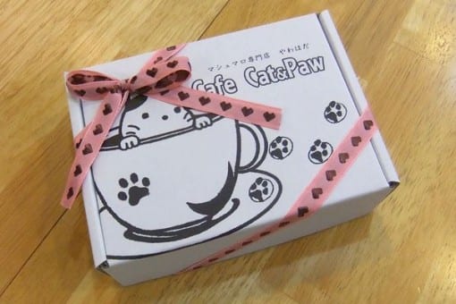 CafeCat Box