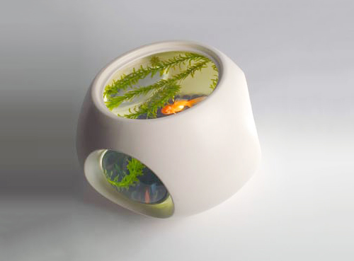 1984 Fish Bowl (フィッシュボウル)