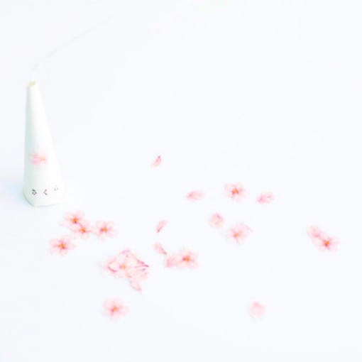 四季 デザインクラッカー 春 桜
