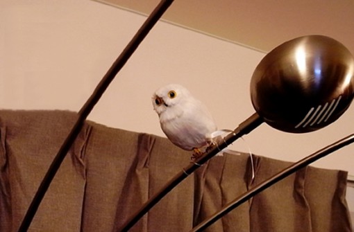 PUEBCO Artificial Birds プエブコ アーティフィシャルバード