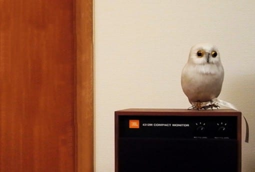 PUEBCO Artificial Birds プエブコ アーティフィシャルバード