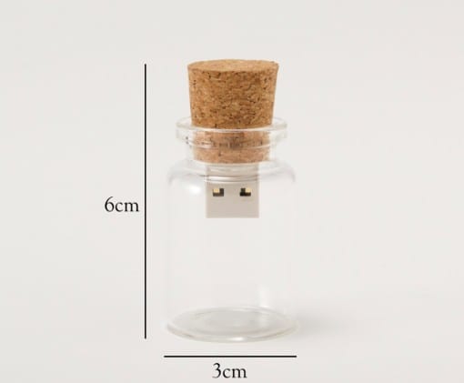 hum blank USB2GB