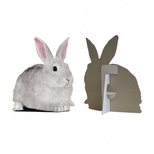 Flat Pets(フラットペッツ) しくみ