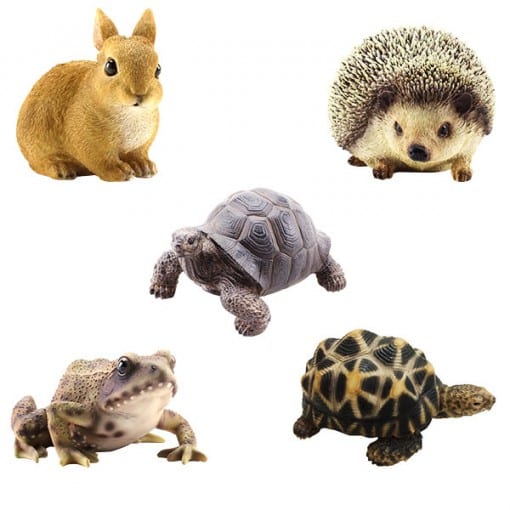 PET BANK 種類