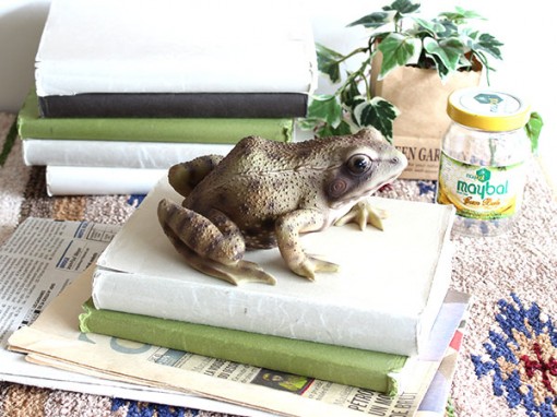 PET BANK カエル