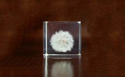 宙-Sola-キューブ　わたげ