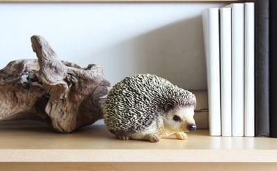 PET BANK　ハリネズミ