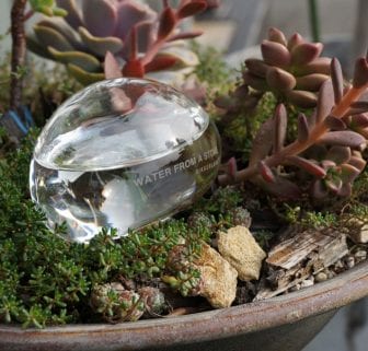 ウォーターキーパーWATER FROM A STON