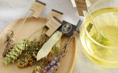 ル・ベネフィック　ハーブティー