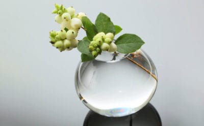 みずのうつわ O