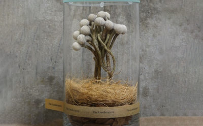 DRY CYLINDER（ドライシリンダー）