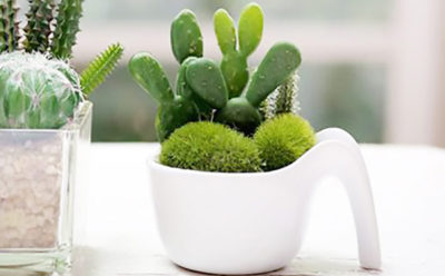 人工観葉植物 消臭アーティフィシャルグリーン コップ型