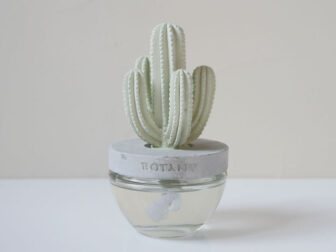 DULTON（ダルトン）カクタスフレグランス ディフューザー